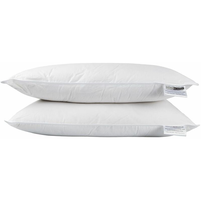 Homescapes - Lot de 2 oreillers en soie de mûriers, 50 x 75 cm