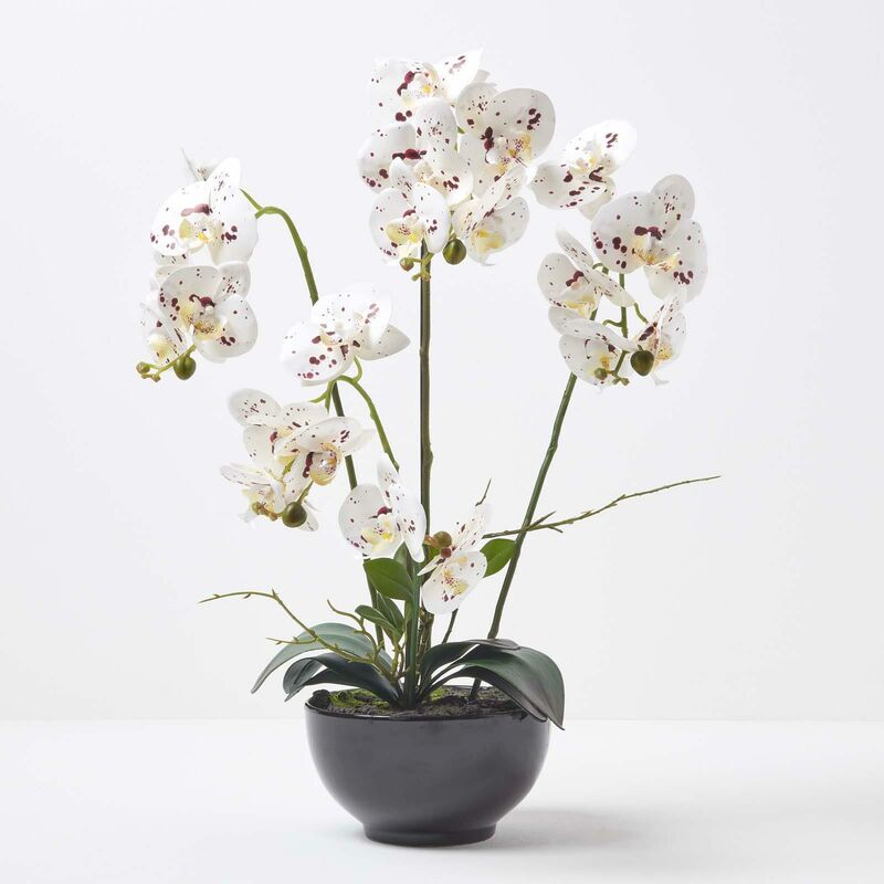 Orchidée artificielle blanche en pot en céramique noir 62 cm - Blanc - Homescapes