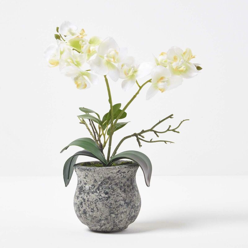 Homescapes - Orchidée artificielle blanche en pot foncé en ciment 32 cm - Blanc