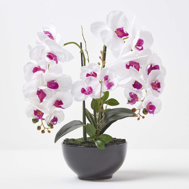 Orchidée artificielle blanche en pot rond en céramique noir 56 cm - Blanc - Homescapes