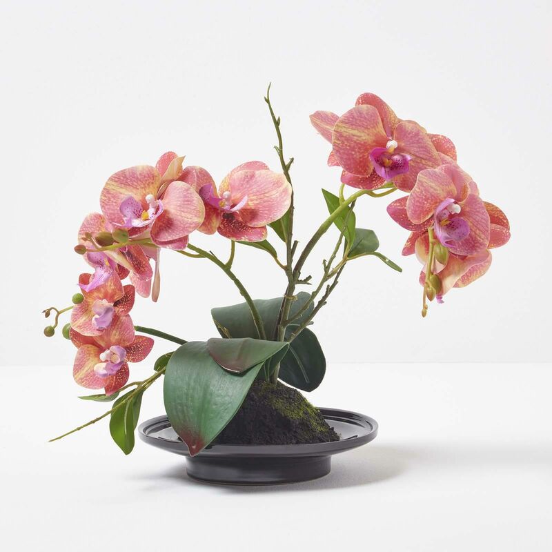 Homescapes Orchidée artificielle pêche en pot en céramique noir 32 cm - Pêche