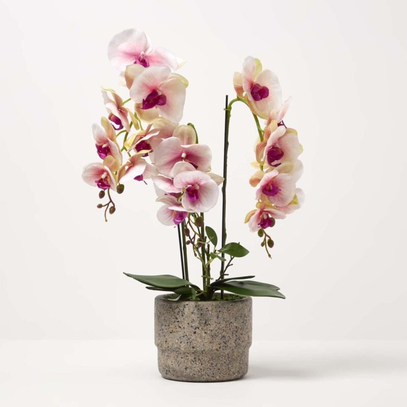 Homescapes - Orchidée artificielle rose en pot en ciment naturel 64 cm - Rose et blanc