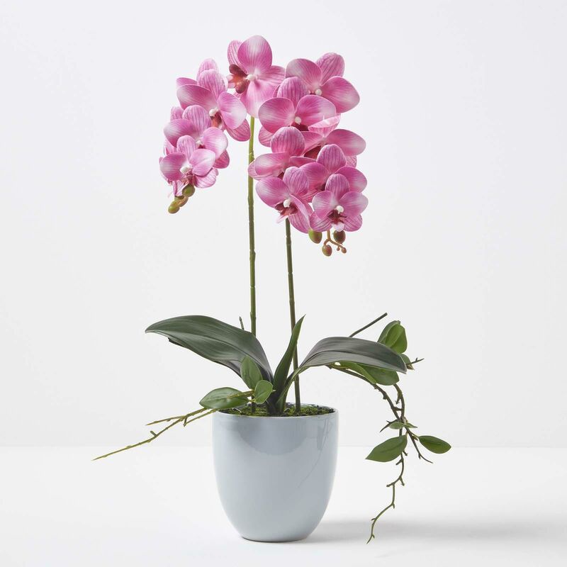 Homescapes Orchidée artificielle rose en pot en céramique gris 54 cm - Rose