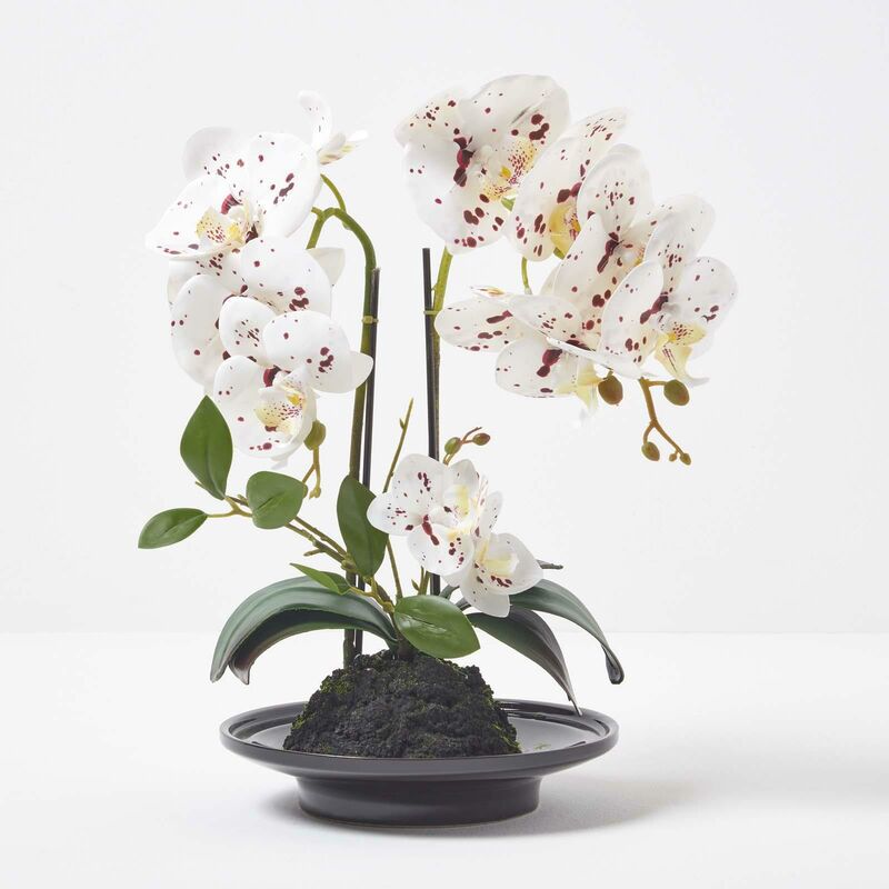 Homescapes - Orchidée artificielle blanche dans un bol en céramique noir 36 cm - Blanc