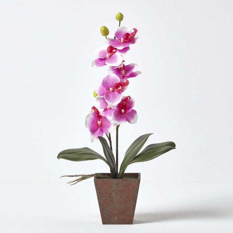 Homescapes - Orchidée artificielle rose en pot rectangulaire 48 cm - Rose