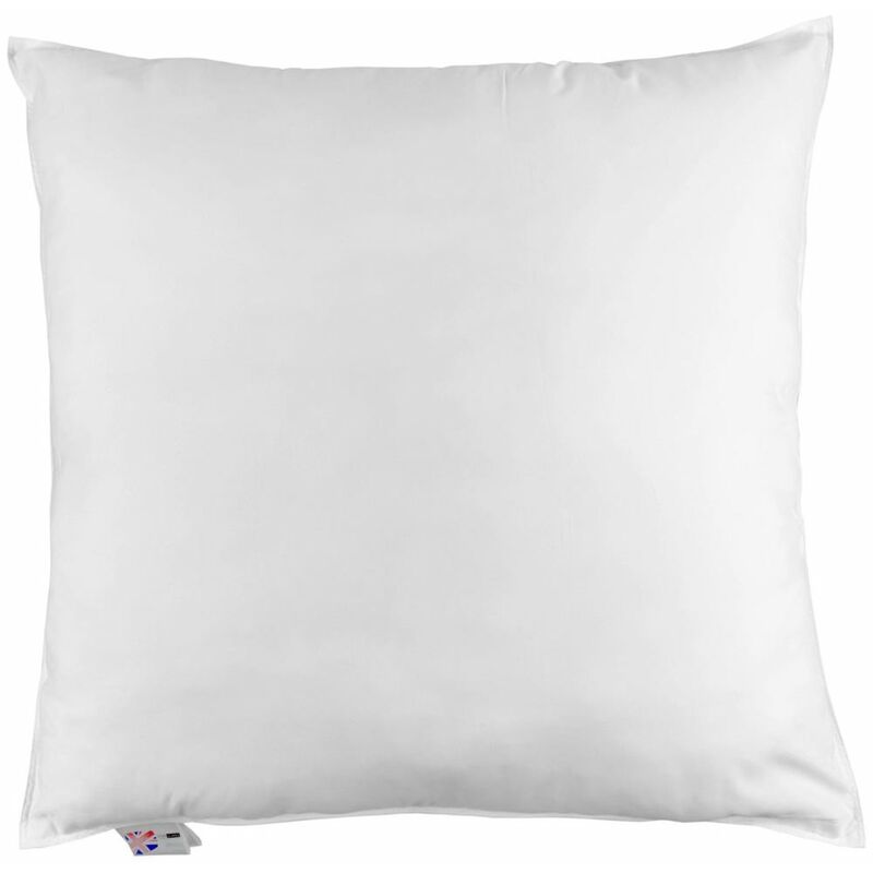 Homescapes - Oreiller en Duvet d'oie 80 x 80 cm - Blanc