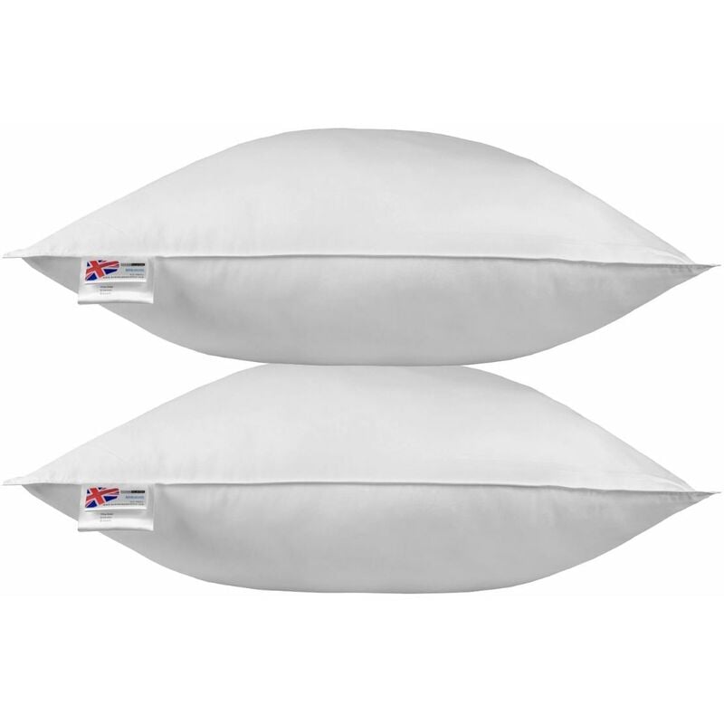 Homescapes - Oreiller en Plumes de canard 80 x 80 cm - Lot de 2