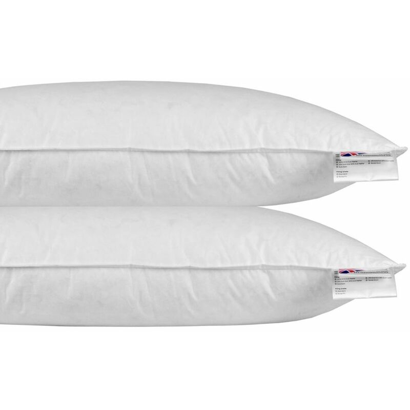 HOMESCAPES Oreiller en Plumes et duvet d'oie 40 x 80 cm - lot de 2