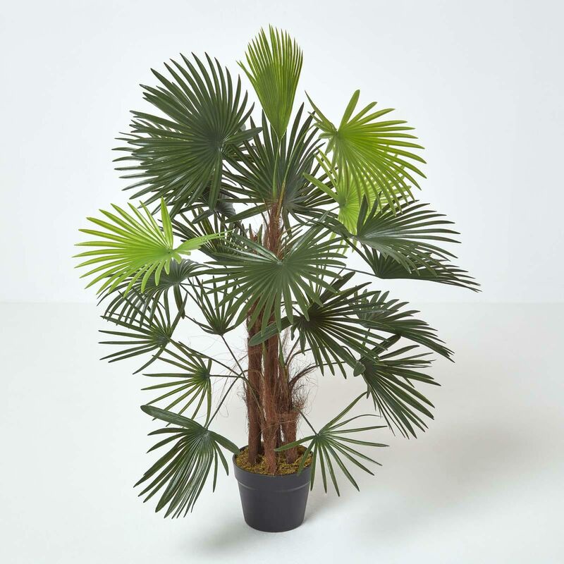Homescapes - Palmier bambou vert Lady Palm en pot, 90 cm - Plante verte et pot noir