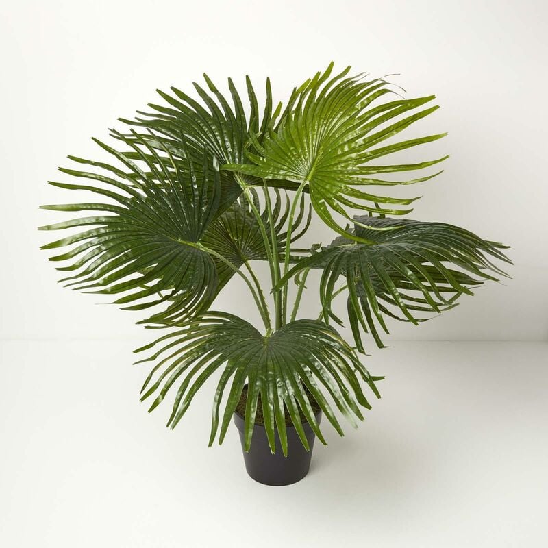 Homescapes - Palmier nain artificiel en pot, 80 cm - Vert