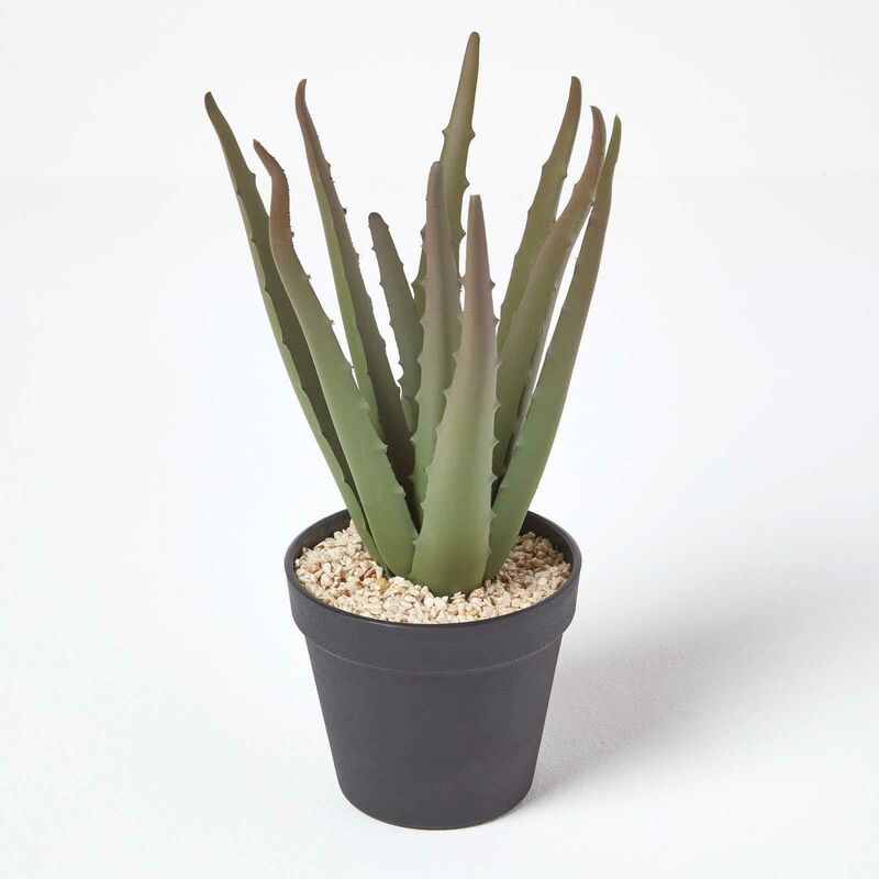 Homescapes - Petit Aloe Vera artificiel en pot noir, 30 cm - Vert