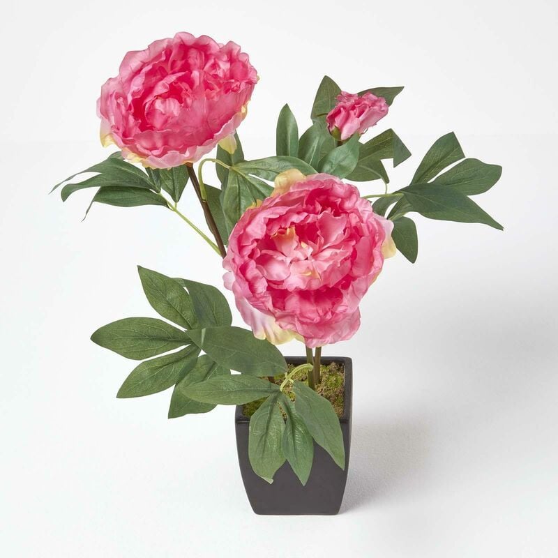 Homescapes - Pivoines artificielles rose en pot noir mat 48 cm - Rose