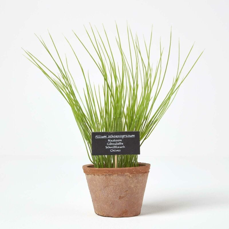 Homescapes - Plante aromatique artificielle en pot, Ciboulette - Marron, vert