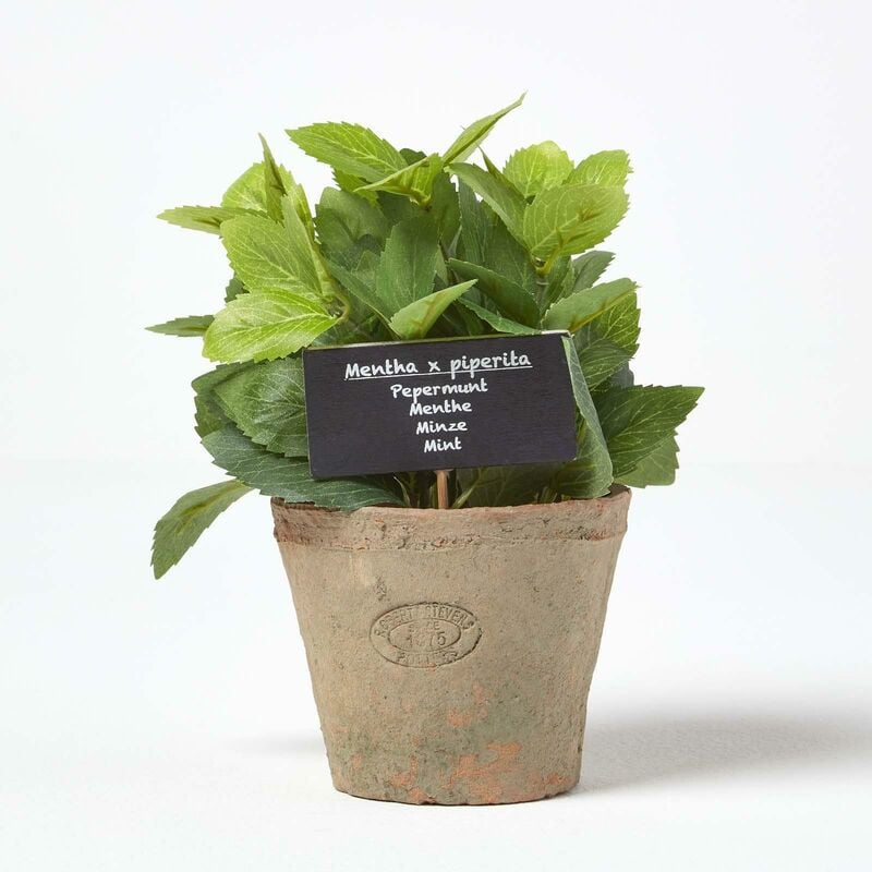 Homescapes - Plante aromatique artificielle en pot, Menthe - Marron, vert