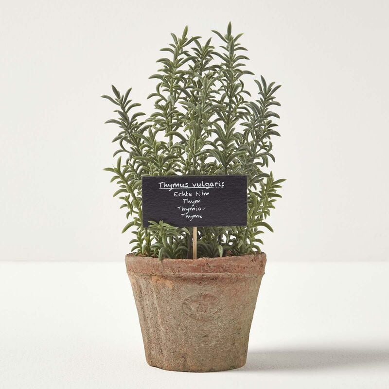 Homescapes - Plante aromatique artificielle en pot, Thym - Marron, vert