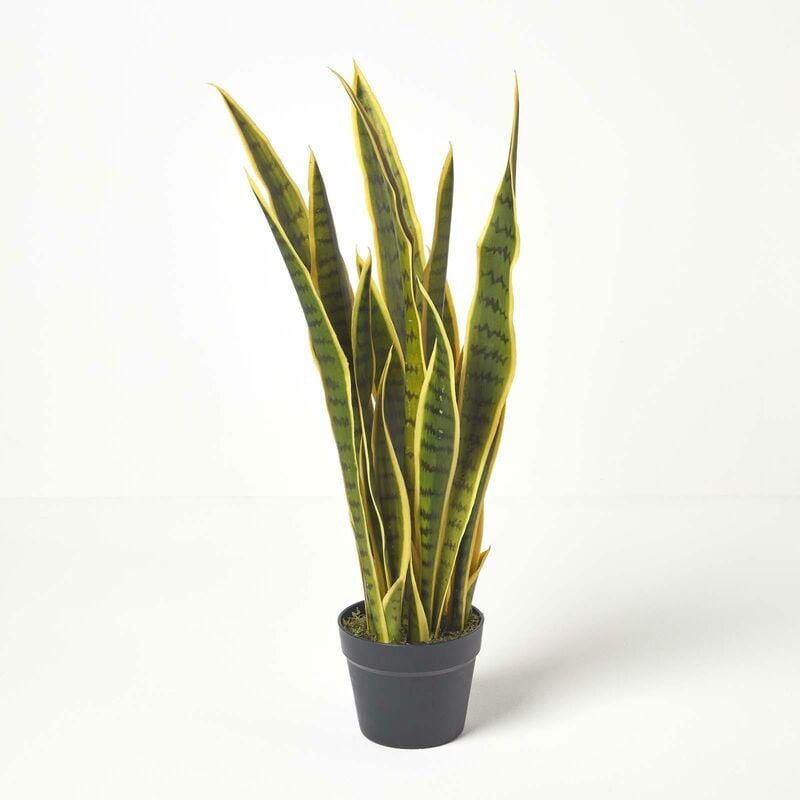 Homescapes - Plante artificielle Langue de belle-mère panachée en pot, 74 cm - Vert