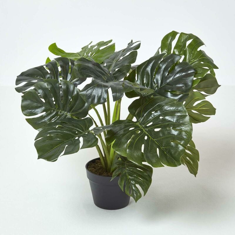 Homescapes - Plante artificielle Monstera en pot, 60 cm