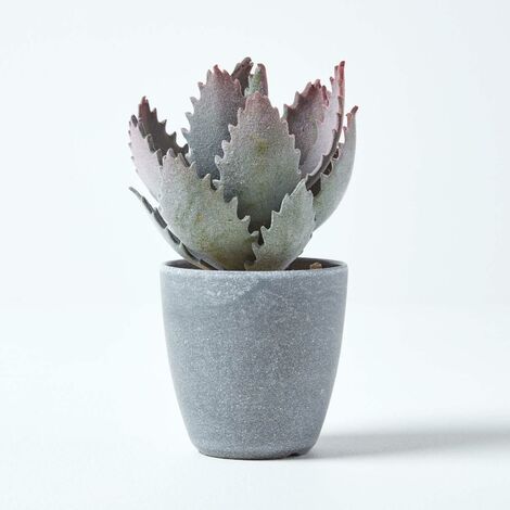 HOMESCAPES Purple and Green Aloe Vera Artificial Succulent in Grey Pot, 21 cm Tall