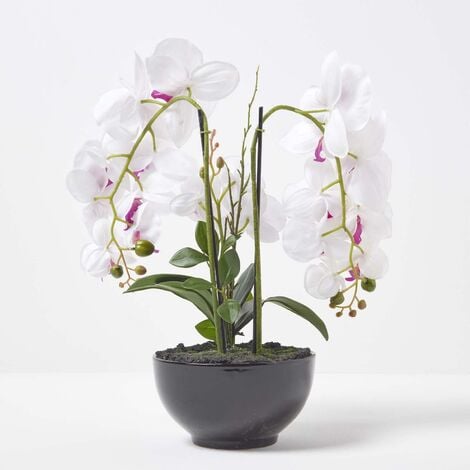 HOMESCAPES White and Pink Orchid 56 cm Phalaenopsis in Ceramic Pot - White - White