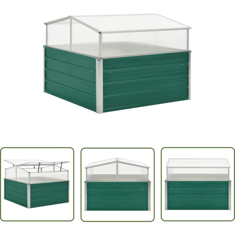 The Living Store Serre Vert 100x100x77 cm Acier galvanisé - Serre De Jardin - Serre Verte - Abri Pour Plantes - Protection Contre Le Froid - Jardinage