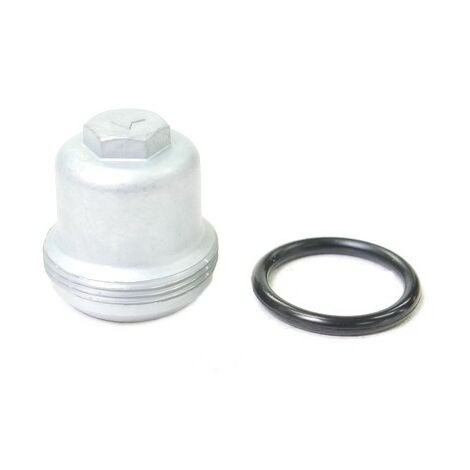 Honda – Filtre à carburant pour motoculteur – Compatible modèles F400 et F600 – Avec bague et joint spi – 16081471831
