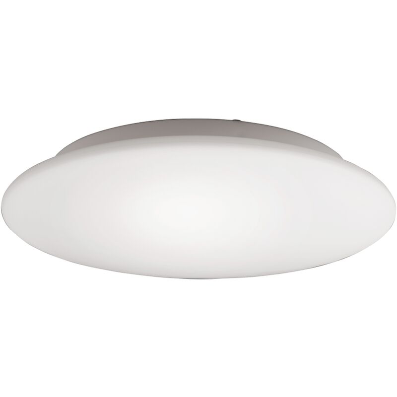 

Honsel Leuchten 22103 - Lámpara de techo, cristal ópalo mate