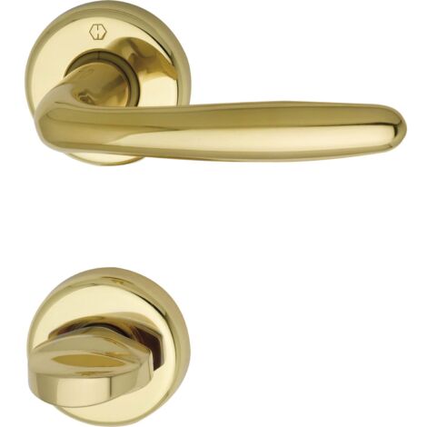 HOPPE 3066806 Maniglia Roissy con Rosette WC, in Ottone Lucido, Lucidato, cromata