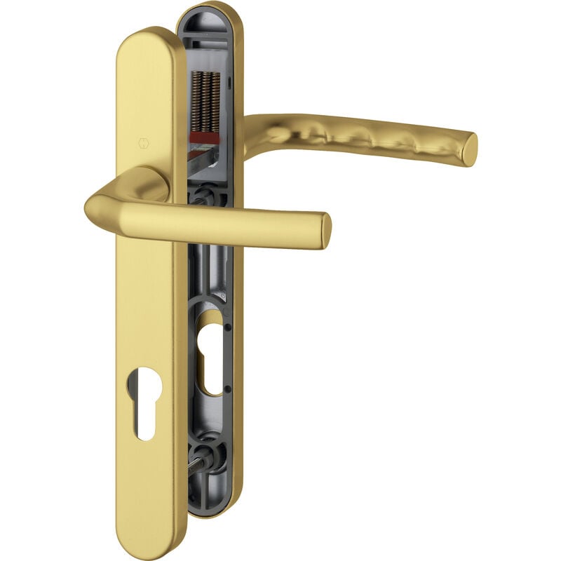 HOPPE Birmingham Handle Set on Narrow Backplate for Profile Doors Aluminium Gold