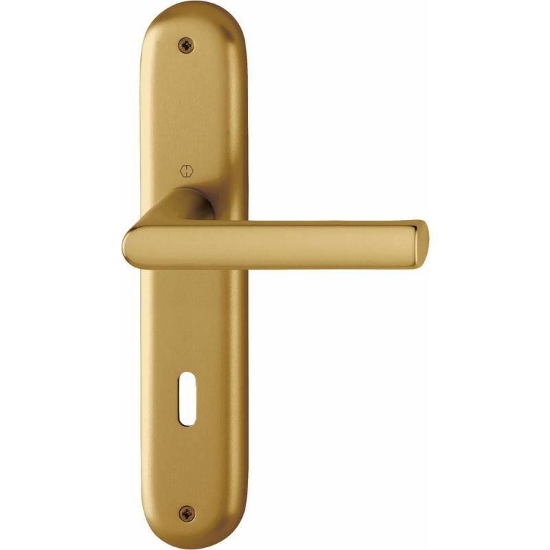 HOPPE Garniture de poignée de porte à plaque longue en aluminium 'Hambourg' GRT-SST/F4/8/OB-72/35-45 - 11760424