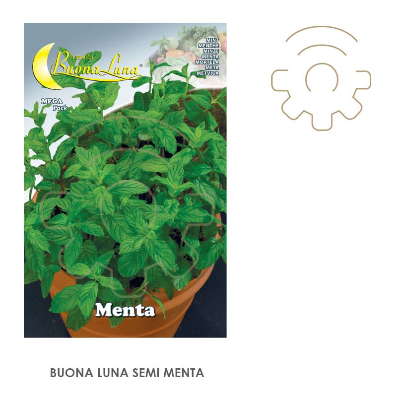 Hortus Buona Luna 0,15 gr graines de menthe semer potager pelouse
