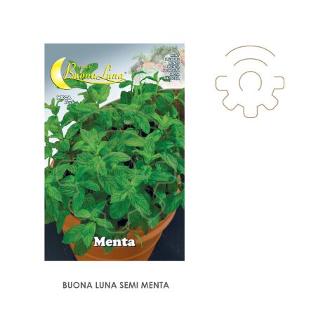 Hortus Buona Luna 0,15 gr graines de menthe semer potager pelouse