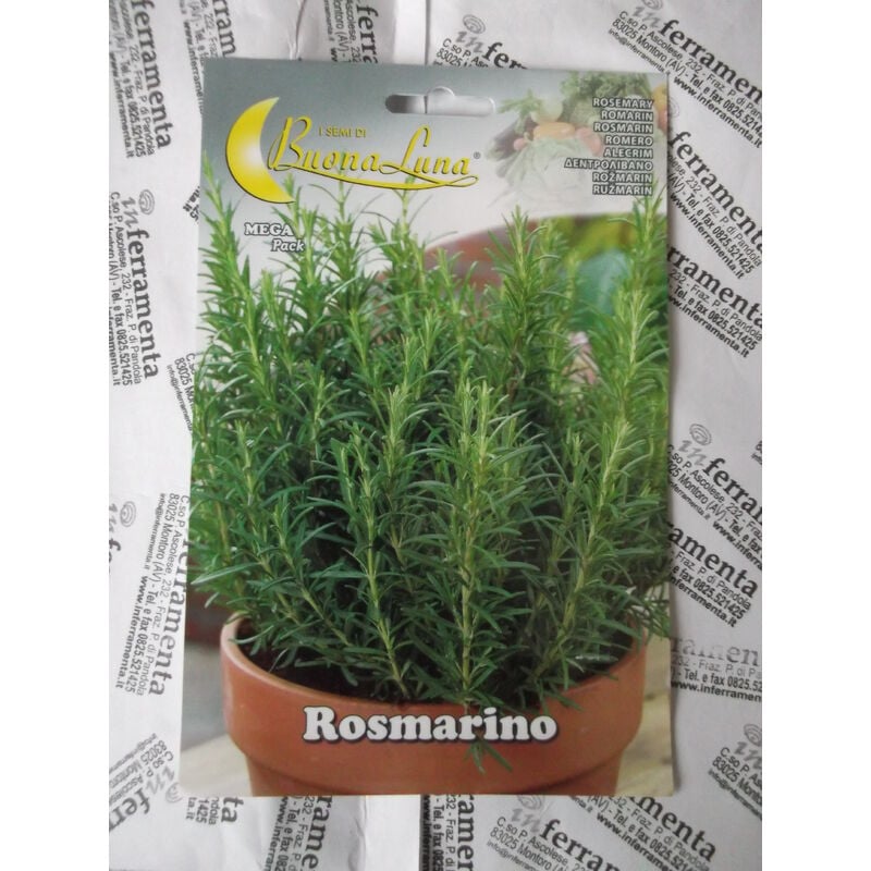 Hortus - Buona Luna 0,15 gr graines de romarin arA me semis jardin