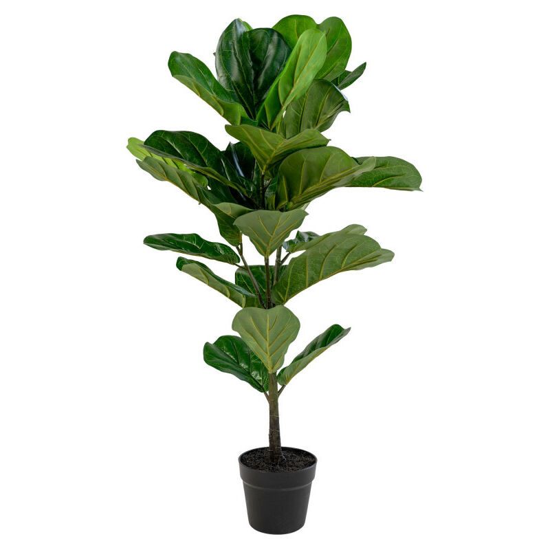 House Nordic - Plante artificielle H100 cm - Fiddle Leaf Tree - Couleur - Vert