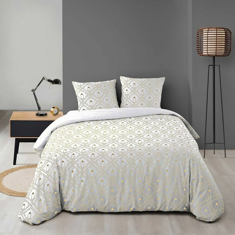 Housse de couette 240x220 + 2 taies Izac microfibre