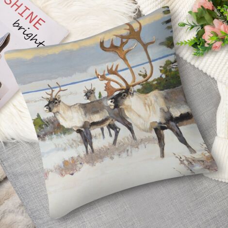 Housse de coussin patin à glace, élégant
