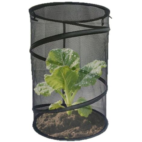 Housse de protection pop-up rectangulaire pliable 100x30cm couleur sable, barrière contre insectes oiseaux et gel avec 4 piquets