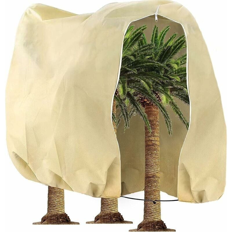 Housse D'hivernage, Housse de Protection pour Plantes, Voile d'hivernage économique Grande Capacité 80g/m² - 360 x 250CM