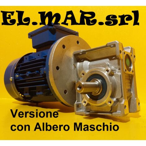 HP 1 KW 0,75 Motoriduttore Vite Senza Fine Trifase  Albero Maschio  - 280 Giri