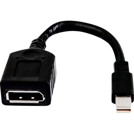 HP 2MY05AA Mini-Display / DisplayPort Adaptateur [1x Mini port Display mâle - 1x DisplayPort femelle] Y875292