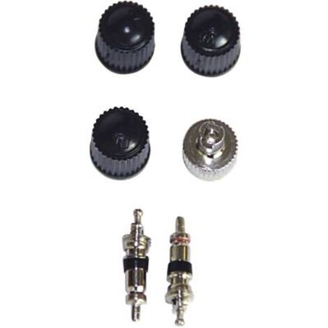 HP AUTOZUBEHÖR 18310 - SET DI VALVOLE E CAPPUCCI