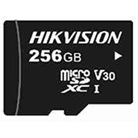 HS-TF-L2I/256G/P - MICRO SD 256GB