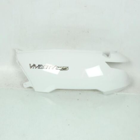 Hülle ARG für Scooter Peugeot 125 Vivacity 3 776163F8 1177616300