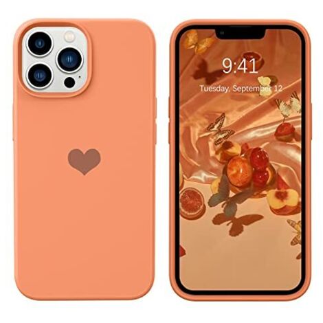 Hülle für Apple iPhone 13 Pro Max 6,7 Zoll, Silikon, orange Rückseite
