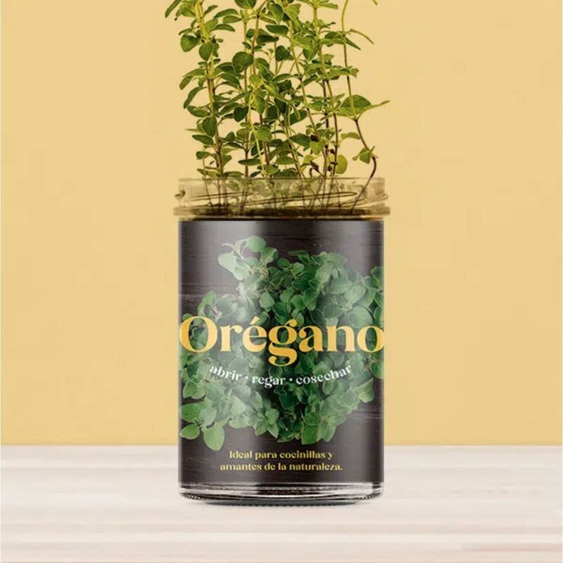 

Huerto de cocina de Orégano