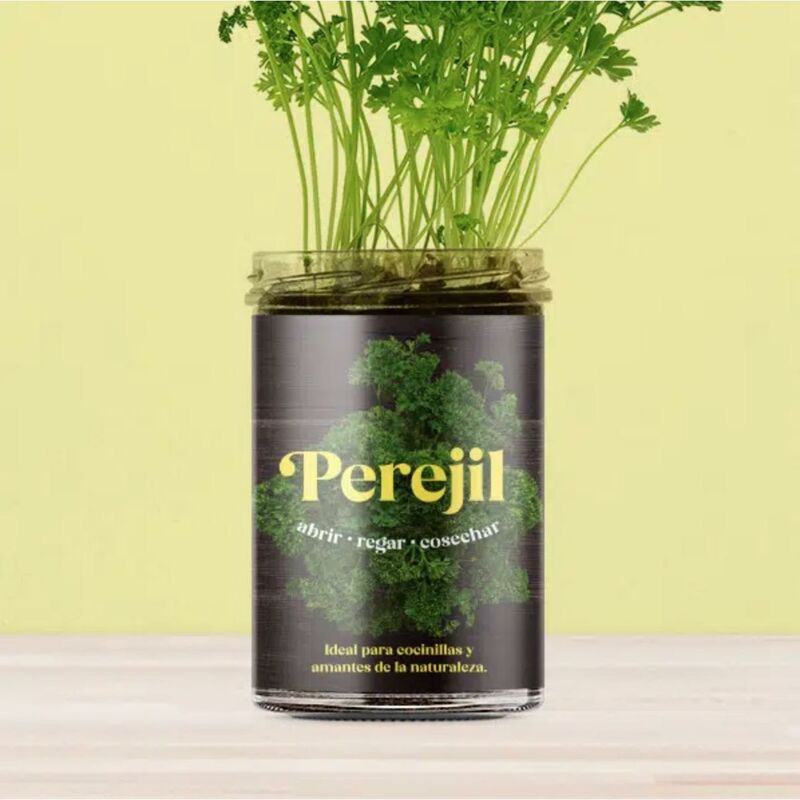 

Resetea - Huerto de cocina de Perejil