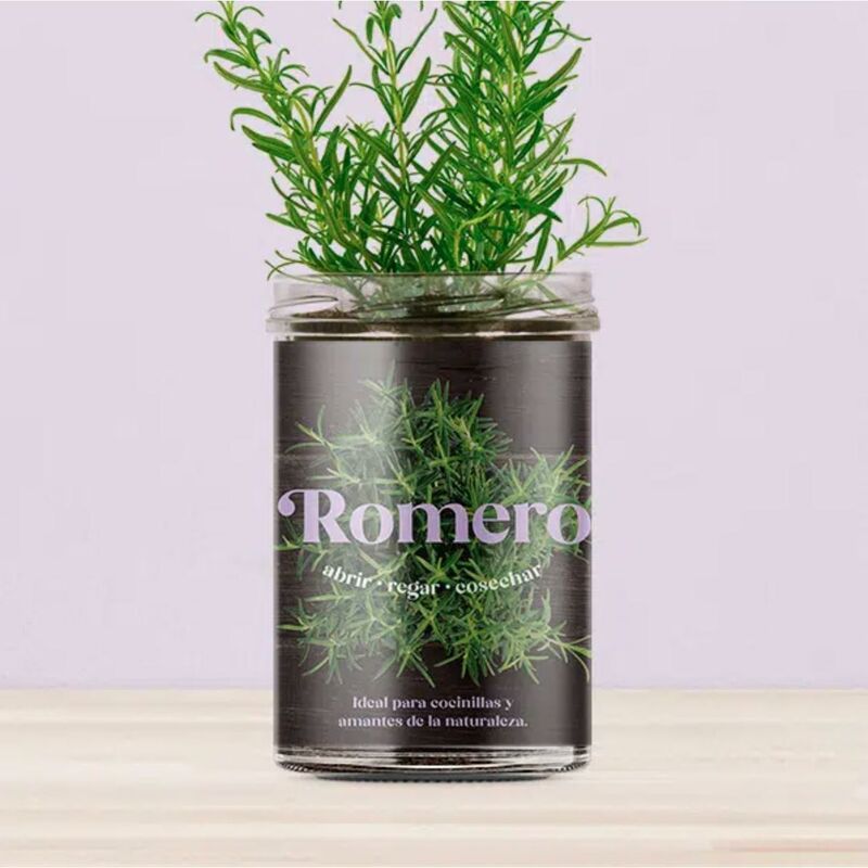 

Resetea - Huerto de cocina de Romero