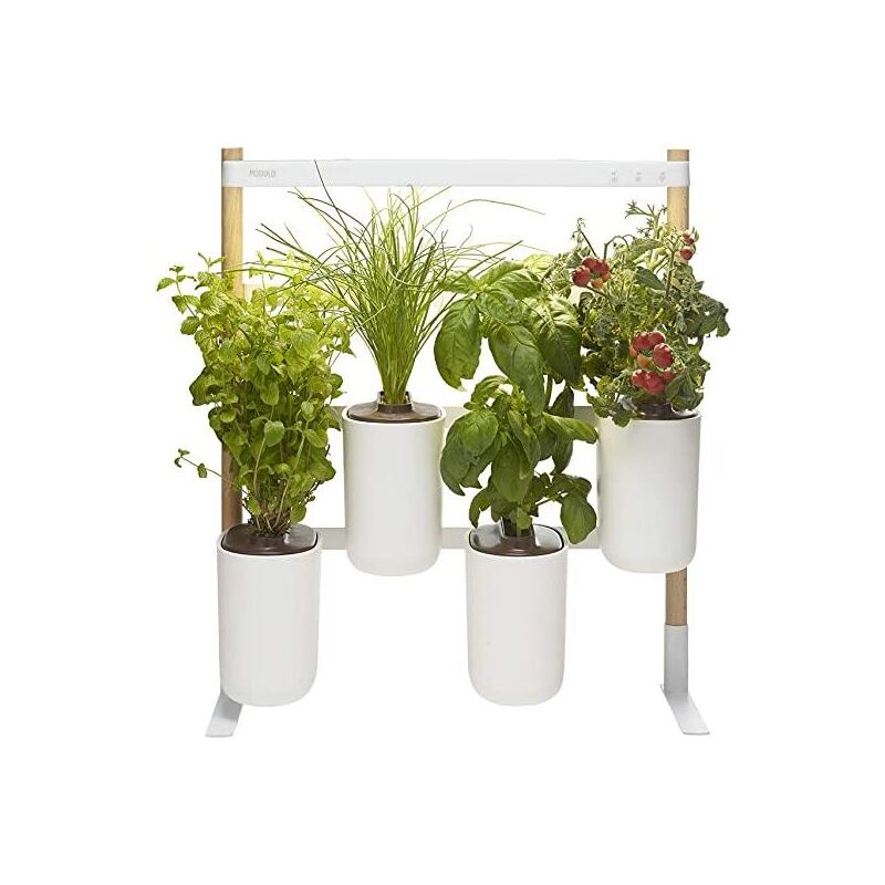 

Huerto Interior MODULO Prêt à Pousser