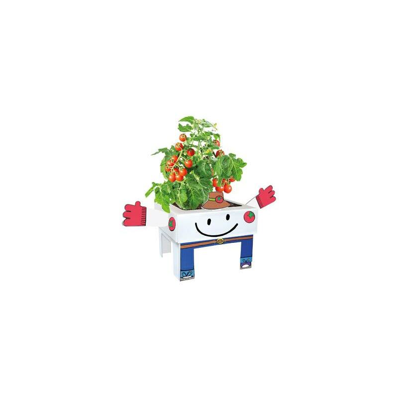 

Huerto urbano infantil cherry brotes