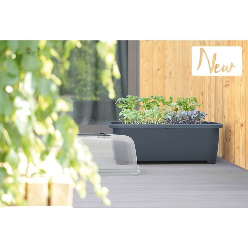 

VAM - Huerto urbano Respana Low Plantes set