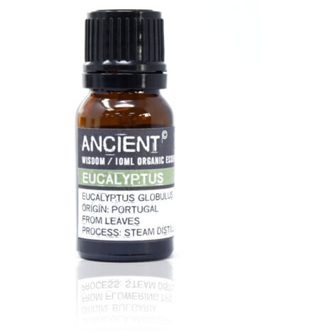 Huile Essentielle d'Eucalyptus Bio 10 ml- Vendu par 1